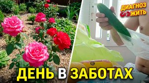 ДЕЛАЕМ ОКРОШКУ | ПОКУПКИ С ПЯТЁРОЧКИ | РАБОТЫ НА КЛУМБЕ