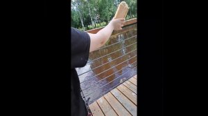 я уже купила пазлы ,мы едем соломбала кормить утки 🦆 и голубей 🕊️