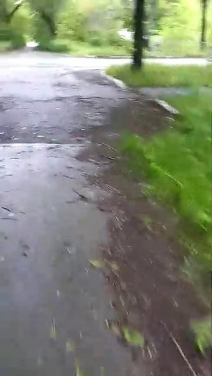 вечерний стрим всем привет