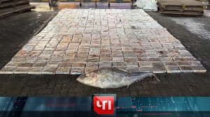 «ЧП»: 1 июля 2026 года | «Чрезвычайное происшествие» на НТВ