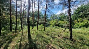 Участок у леса 7,5 соток ИЖС, Воронеж, Советский р-н, мкр Шилово #продажа