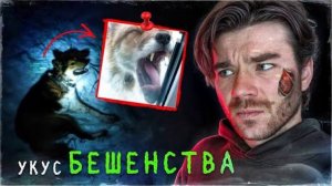 Вирус бешенства оставит тебе 7 дней! Сознание животных | РазМИШления- Boldurev