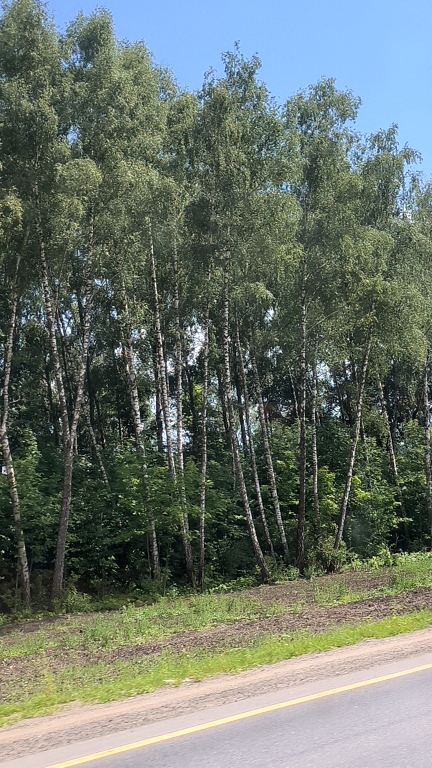 По дороге