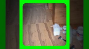 1000063234.mp4 (Собака смотрит на покраску стен, потолка внутри дома А-фрейм)