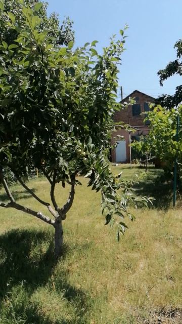 дача смотреть онлайн
