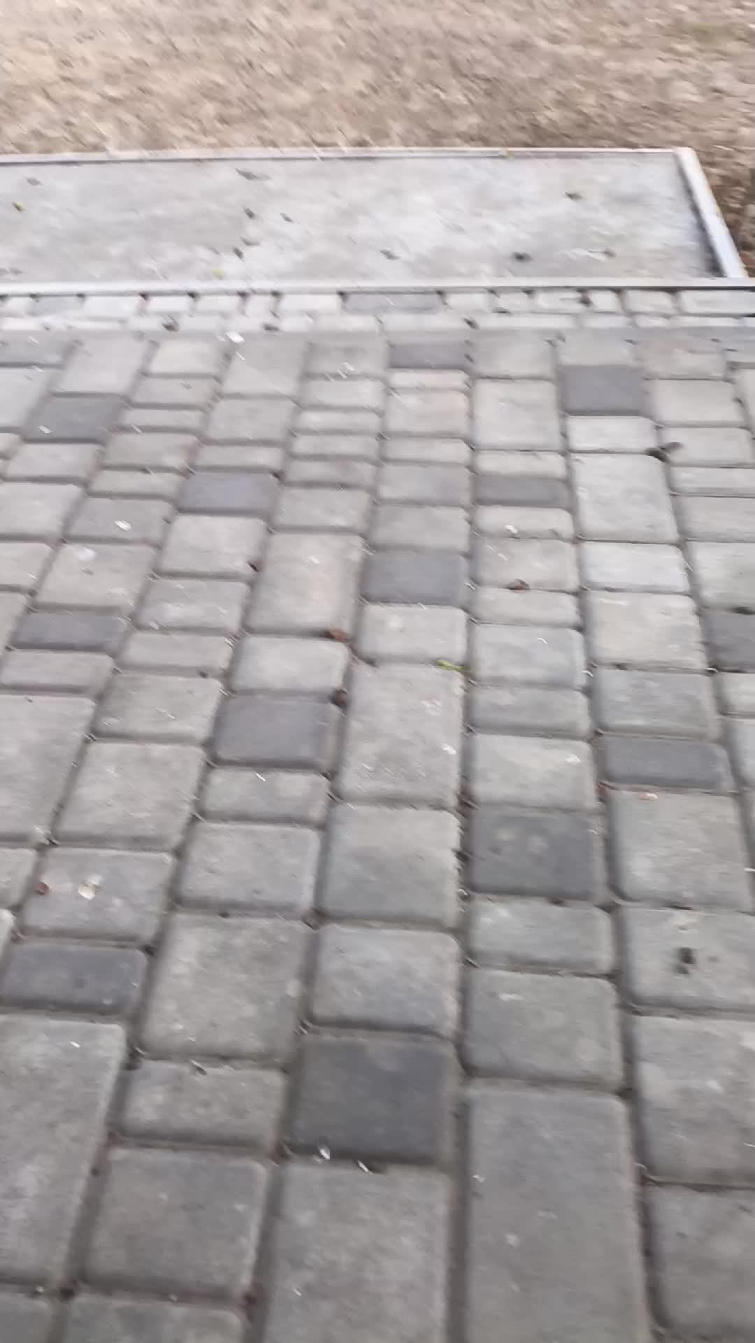два дауна смотреть онлайн