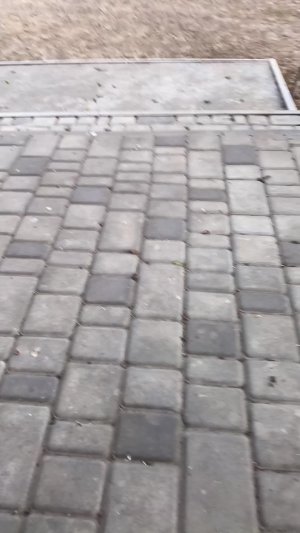 два дауна