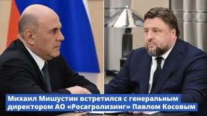Михаил Мишустин встретился с генеральным директором АО «Росагролизинг» Павлом Косовым