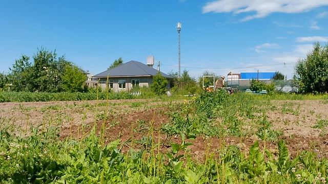 Мотоблок Боксбот 900Про с гусиными лапками Валрус, режим прополки 2