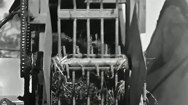 1977 год. Тюменская область. Установка по производству витаминной муки