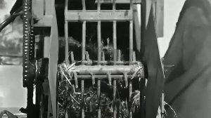 1977 год. Тюменская область. Установка по производству витаминной муки