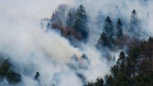 Пожары в Турции: огонь подобрался к курортным зонам