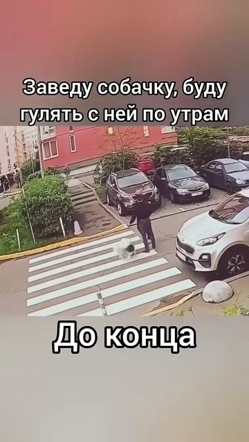 Заведу собаку буду гулять по утрам.)