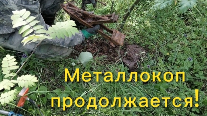 Металлокоп с Quest X5.