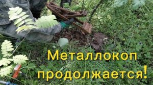 Металлокоп продолжается! Хорошо прогулялся и отдохнул на природе. Двенадцатый выезд. #97