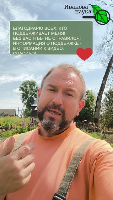 🍓 Срочно пересадите! 🛑 Сколько ЖИВЕТ клубника на одном месте? Обновление клубники 🔄
