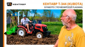 УТЕРЛИ НОС МЕСТНЫМ ТРАКТОРИСТАМ! Китайский трактор Кентавр Т-344 (kubota) порвал вековой дерн.