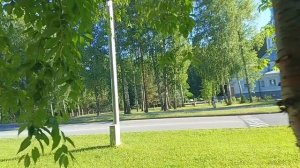 Несу на работу красоту