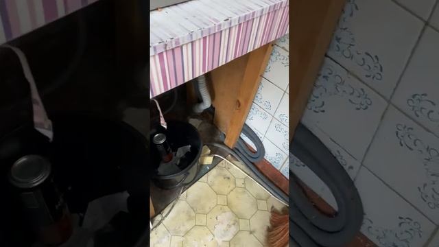 video_12308807507836(1).mp4 смотреть онлайн
