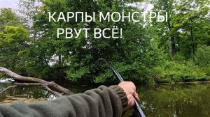 Карпы монстры рвут всё!!!