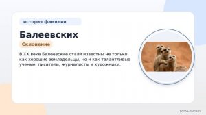 Исследуем фамилию Балеевских: происхождение, история и склонение в одной статье!