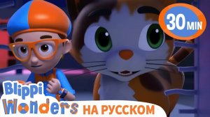 Кошачьи усы _ Изучай этот мир вместе с Блиппи _ Обучающие видео для детей _ Blippi