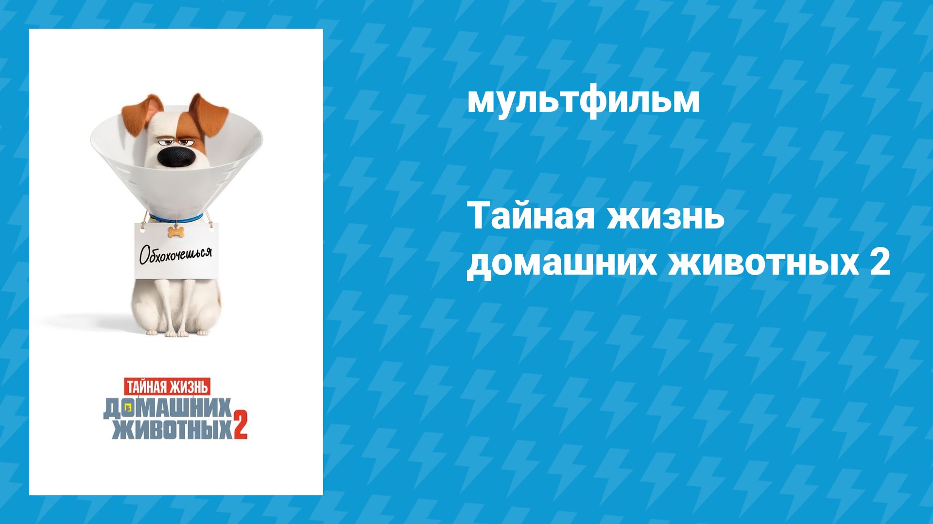 Тайная жизнь домашних животных 2 (мультфильм, 2019) смотреть онлайн