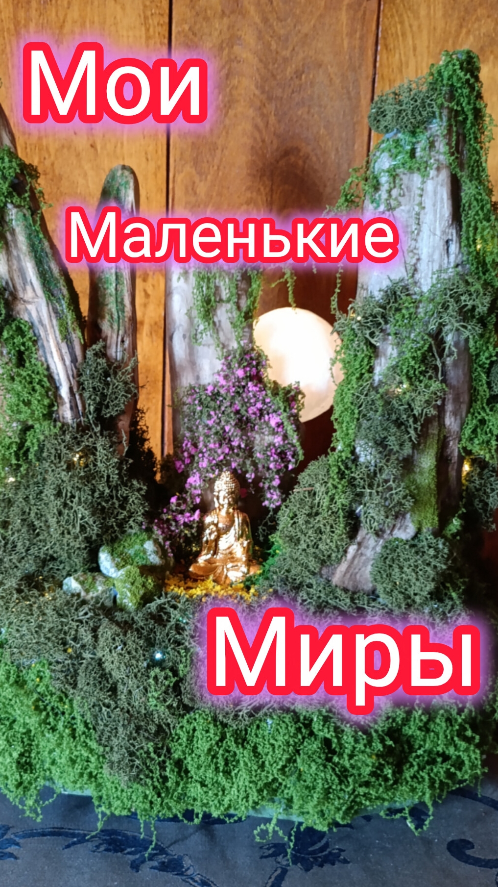 Это Мой Мир!