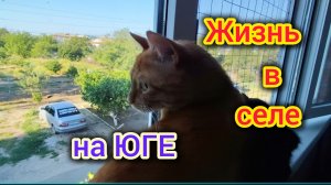 Наша будущая МАШИНА/Куда деваются ДЕНЬГИ?/Жизнь на ЮГЕ в селе/Повесили полки/Муж ревнует