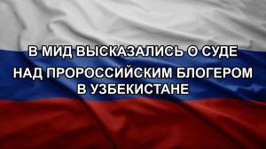 В МИД высказались о суде над пророссийским блогером в Узбекистане