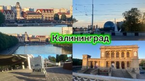 Калининград. Вечерняя прогулка с семьёй.