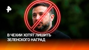 В Чехии потребовали лишить Зеленского наград за восхваление нацистов