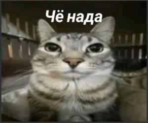 стрим без которумбия возращается