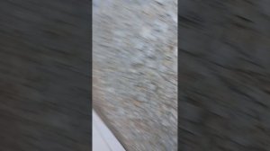 7319.mp4