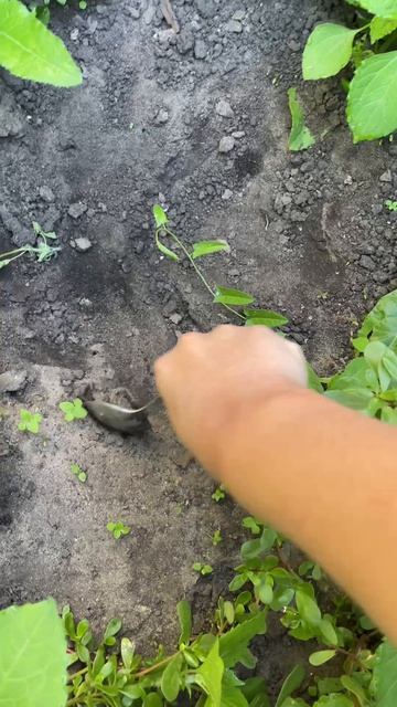 Копаем яму! Челлендж