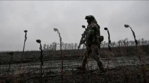 Британский аналитик заявил, что Россия близка к победе в СВО