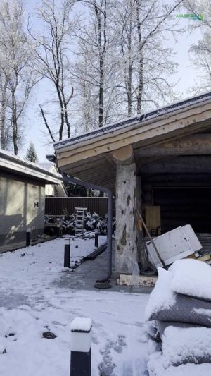 10 Зимёнки Летова роща (243)