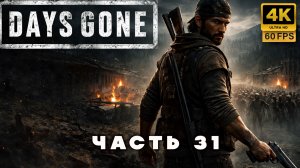 DAYS GONE — Мир после конца | Прохождение без комментариев часть 31 (4К 60 FPS)