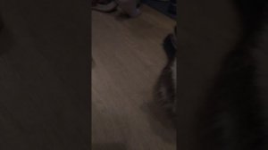 В по в в авиапарк вру рук аж ой ей й по кет
