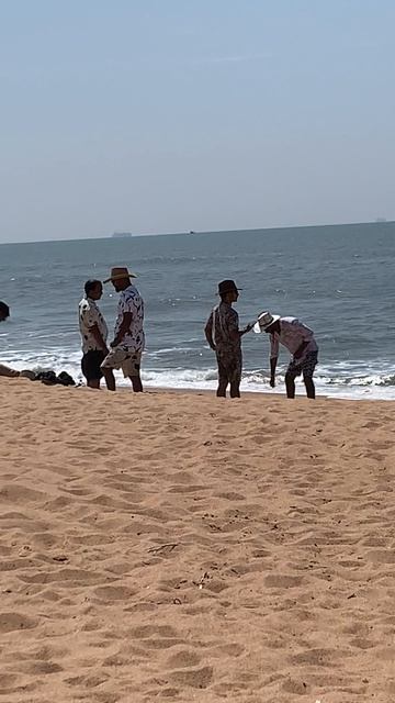 «Ковбои» в пальмочку🏝️🤣#ГлавноеЧтобыКостюмчикСидел 😁 смотреть онлайн