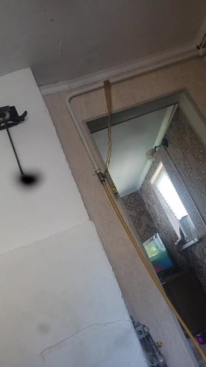 музза