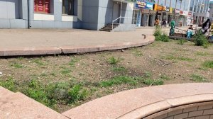 Живой звук. И я потанцевала тоже. Биробиджан. 2026г