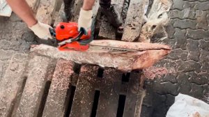 В порту Санкт-Петербурга нашли полтонны кокаина.