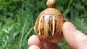 Шкатулка в июльском лесу с колокольчиками и земляникой