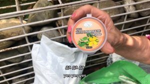 Нэля: «Настоящие травяные сборы от разных недугов. Купить можно по ссылке ниже»