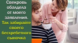 Свекровь обалдела от моего заявления. Так забирайте своего бесхребетного сыночка. Истории из жизни