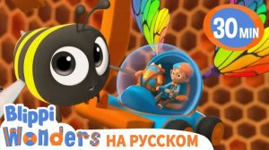 Мёд _ Изучай этот мир вместе с Блиппи _ Обучающие видео для детей _ Blippi Russian