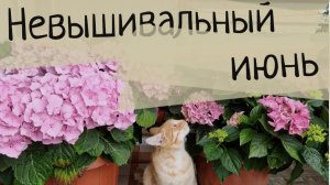 11/2026. Невышивальный июнь в гостях у мамы