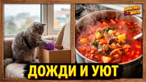 ДОЖДИ ИДУТ | БОРЩ ГОТОВ | СИМА ИГРАЕТ | КОЛЯСКА ПРИШЛА!