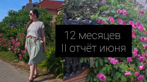 совместный проект 12 месяцев. 2 отчёт за июнь
